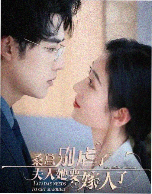 六夜影视在线播放免费观看电视剧 风起陇西